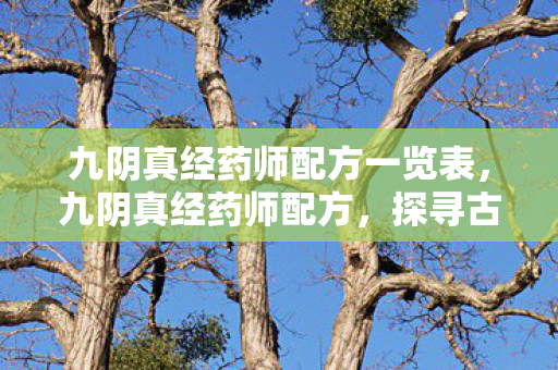 九阴真经药师配方一览表，九阴真经药师配方，探寻古方奥秘，领略中药魅力