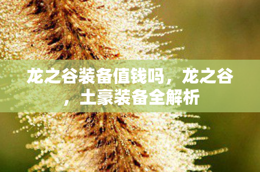 龙之谷装备值钱吗图片