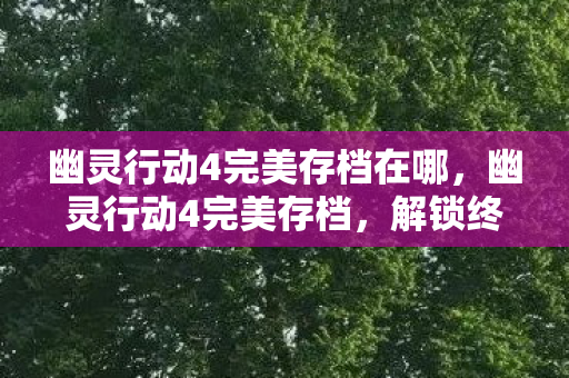 幽灵行动4完美存档在哪图片