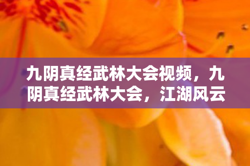 九阴真经武林大会视频，九阴真经武林大会，江湖风云再起的传奇盛宴