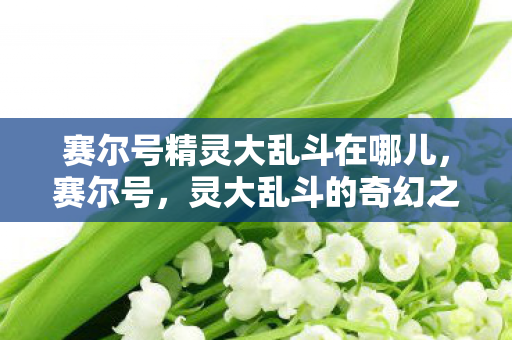 赛尔号精灵大乱斗在哪儿图片