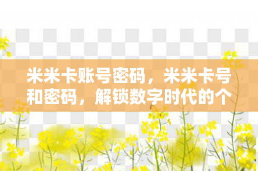 解锁数字时代的个人信息安全图片