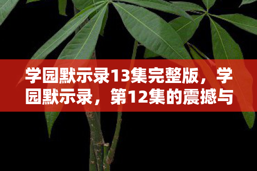 学园默示录13集完整版图片