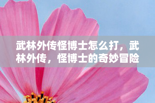 武林外传怪博士怎么打图片