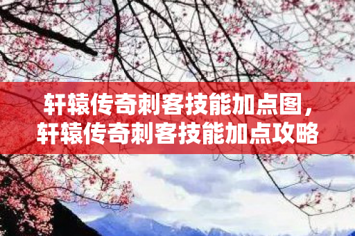 轩辕传奇刺客技能加点攻略图片