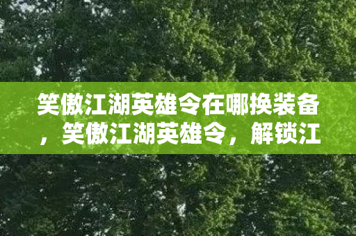 笑傲江湖英雄令在哪换装备图片
