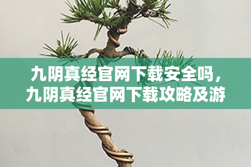 九阴真经官网下载安全吗，九阴真经官网下载攻略及游戏概述
