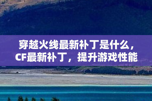 提升游戏性能与优化玩家体验图片