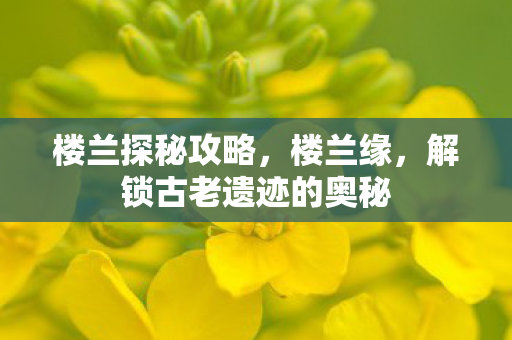 解锁古老遗迹的奥秘图片