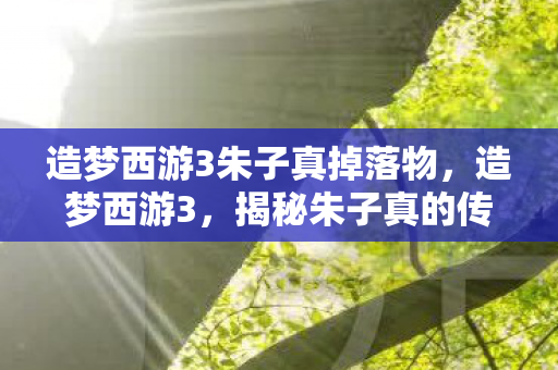 造梦西游3朱子真掉落物图片