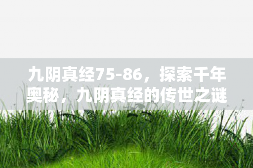 九阴真经75-86，探索千年奥秘，九阴真经的传世之谜