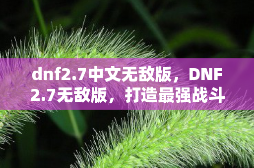 打造最强战斗力的终极攻略图片