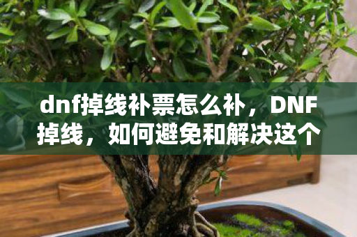 如何避免和解决这个恼人的问题图片