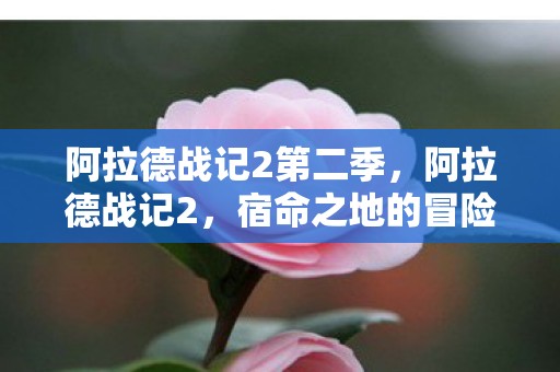 阿拉德战记2第二季图片