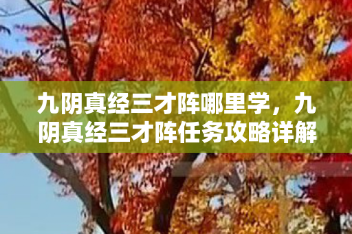 九阴真经三才阵哪里学，九阴真经三才阵任务攻略详解