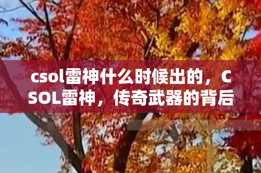 csol雷神什么时候出的图片
