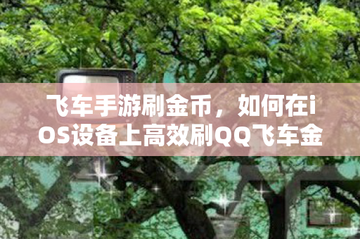 如何在iOS设备上高效刷QQ飞车金币图片