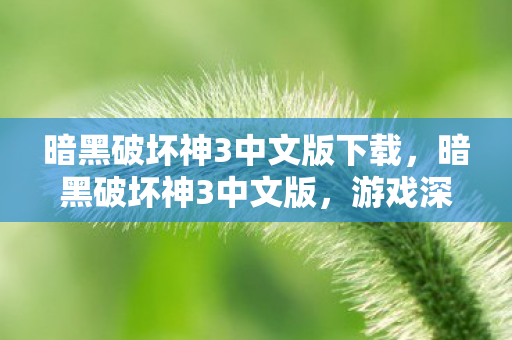 暗黑破坏神3中文版下载，暗黑破坏神3中文版，游戏深度解析与体验分享