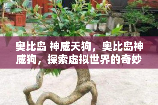 探索虚拟世界的奇妙冒险图片