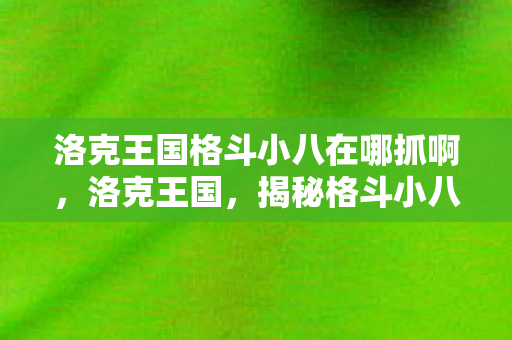 揭秘格斗小八的捕捉地点与技巧图片