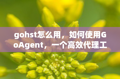 一个高效代理工具的使用指南图片