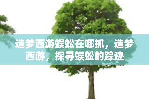 造梦西游蜈蚣在哪抓图片