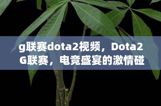 g联赛dota2视频图片