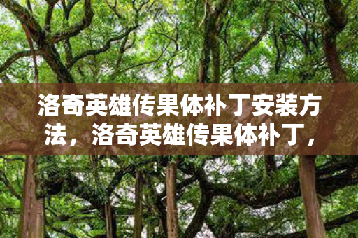 洛奇英雄传果体补丁安装方法图片