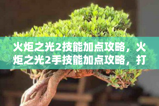 火炬之光2手技能加点攻略图片