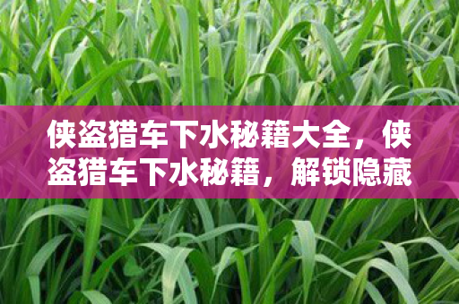 侠盗猎车下水秘籍大全图片