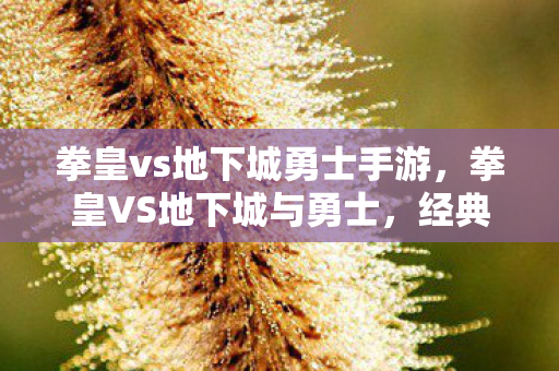 经典格斗游戏的碰撞与融合图片