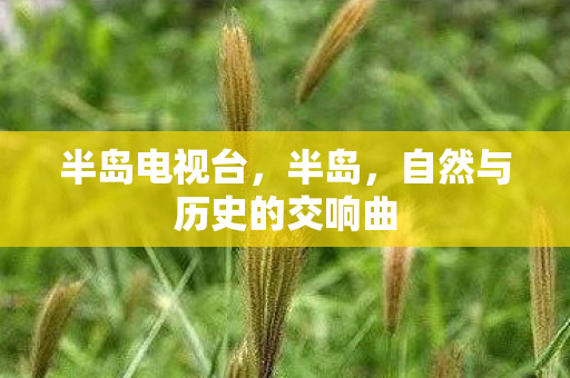 自然与历史的交响曲图片