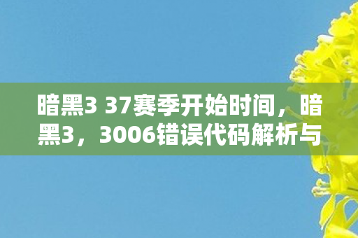 3006错误代码解析与解决方案图片