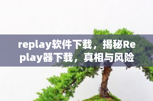 揭秘Replay器下载图片