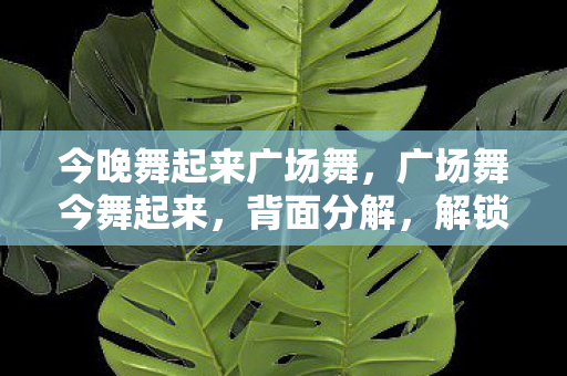 今晚舞起来广场舞图片