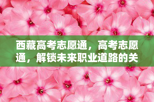 解锁未来职业道路的关键图片