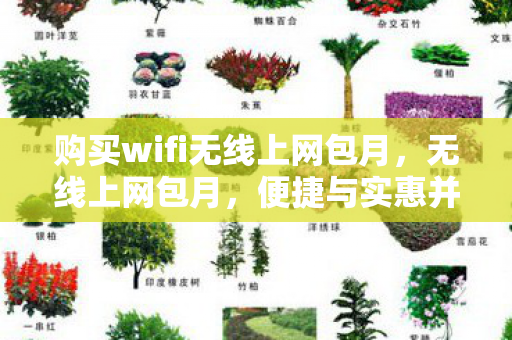 便捷与实惠并存的上网新选择图片