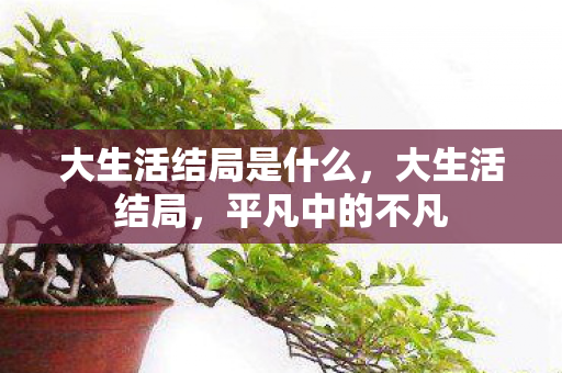 大生活结局是什么图片