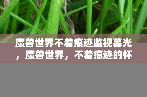 魔兽世界不着痕迹监视暮光图片