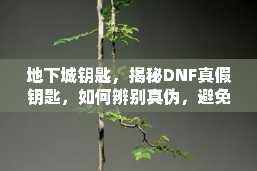 地下城钥匙,揭秘DNF真假钥匙,如何辨别真伪,避免上当受骗 地下城钥匙,揭秘DNF真假钥匙,如何辨别真伪,避免上当受骗