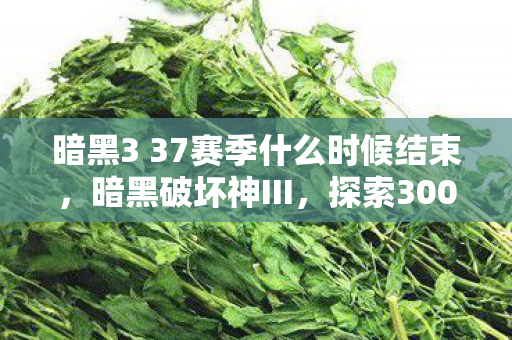 暗黑3 37赛季什么时候结束，暗黑破坏神III，探索3003的秘密与魅力