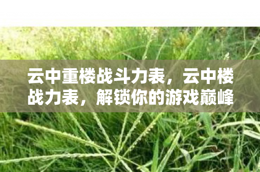 云中重楼战斗力表图片