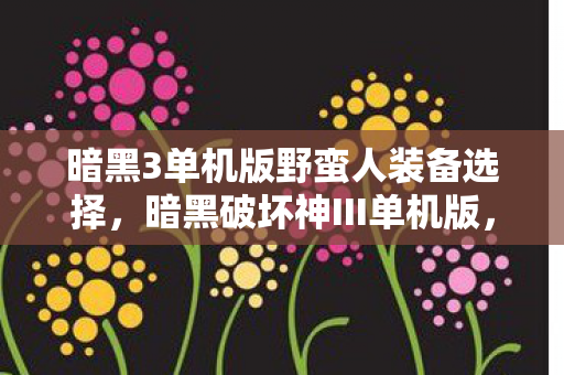 暗黑3单机版野蛮人装备选择，暗黑破坏神III单机版，独自探索黑暗世界的魅力