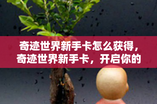 奇迹世界新手卡怎么获得图片