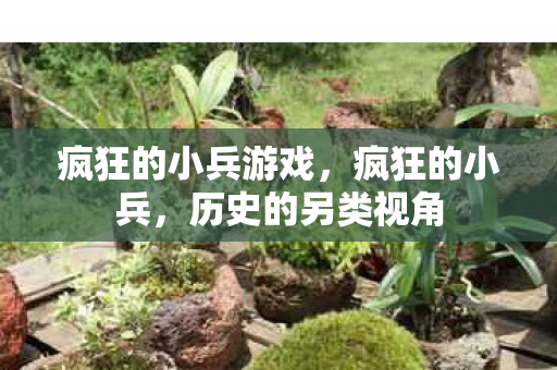 疯狂的小兵游戏图片