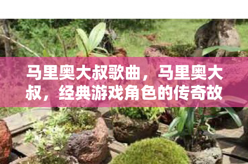 经典游戏角色的传奇故事图片