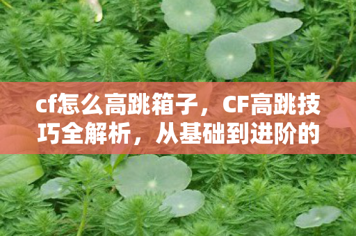 从基础到进阶的实战攻略图片