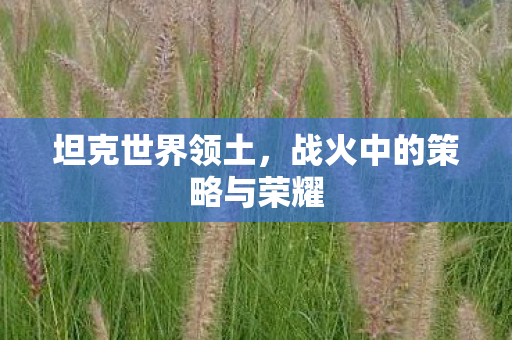 战火中的策略与荣耀图片