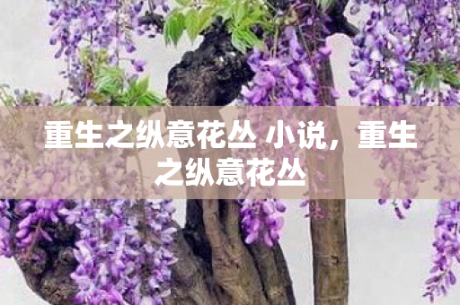 重生之纵意花丛 小说图片