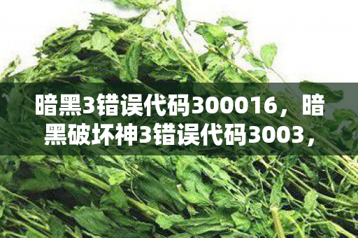 暗黑3错误代码300016，暗黑破坏神3错误代码3003，如何解决游戏安装与更新问题？